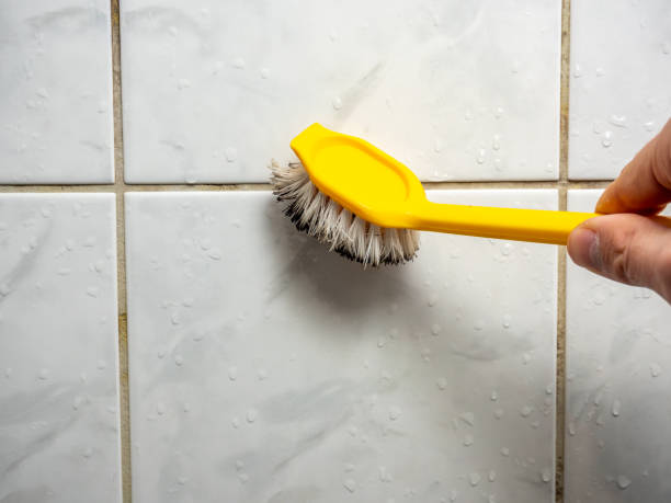 Best Mold Remediation Services  in Garnet, CA
